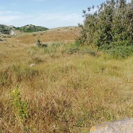 T3 Rez-de-chaussée Lumineux Avec Terrasse Proche Cucq