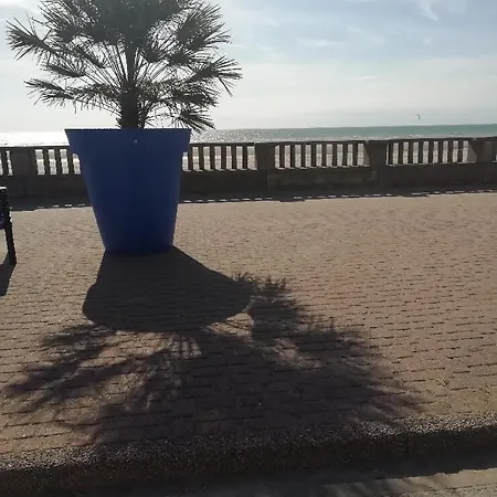 T3 Rez-de-chaussée Lumineux Avec Terrasse Proche *