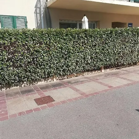 Rez- De- Chaussee Convivial Proche Avec Terrasse